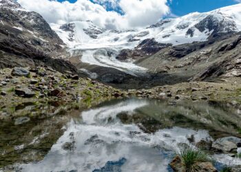 CREDITS: ADOBE - @WalterMapelli