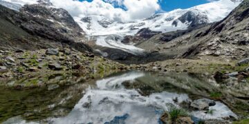 CREDITS: ADOBE - @WalterMapelli