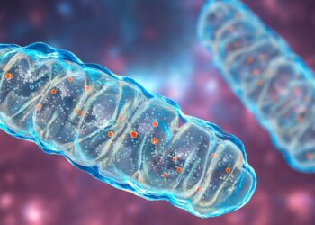 Credits: @Dr_Microbe - Adobe