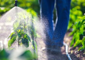 Photo credits @ValentinValkov - Adobe Stock