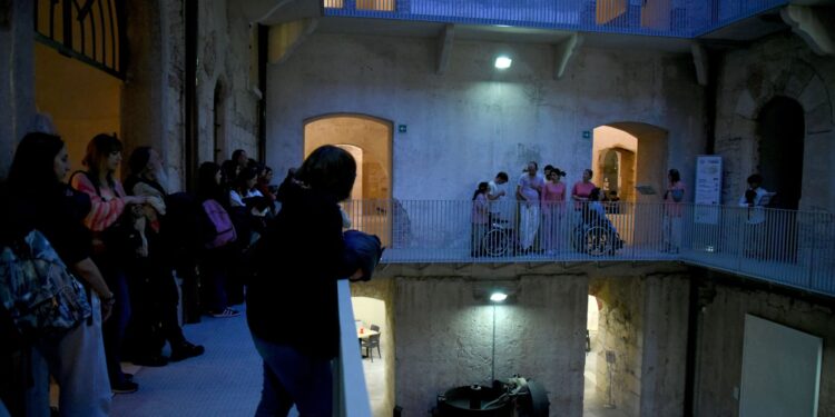 Photo credits: Alexandra Wilk