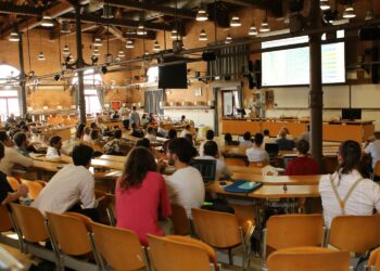 photo credits "Like-Agency"