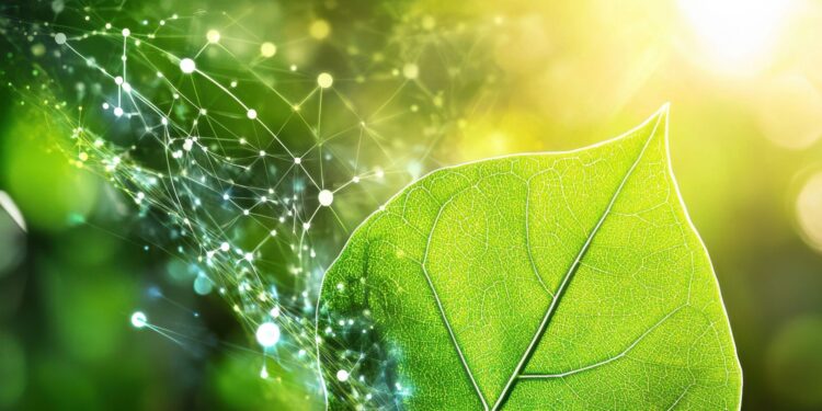 Adobe Creator: Viacheslav