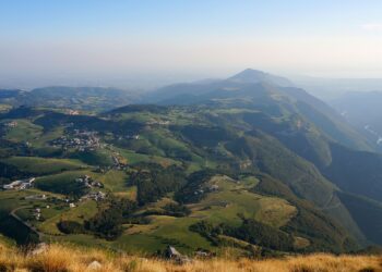 Adobe creator: Pier Fax