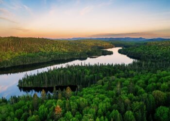 Photo Credits:  Nicolas Xanthos/Wirestock Creators - Adobe Stock