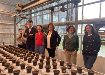 da sinistra, Giovanna Felis, David Bolzonella, Matteo Ballottari, Elisa Fasani, Antonella Furini Tiziana Pandolfini e Anita Zamboni