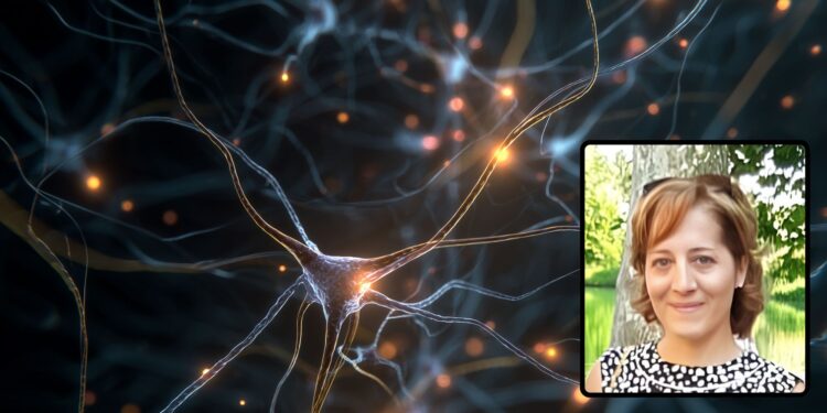 Photo credits: Alexander - Adobe Stock