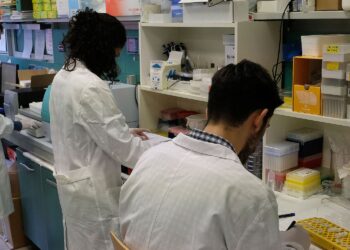 Photo credits: Ennevi