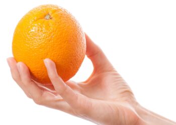 Photo credits: Vasily Merkushev