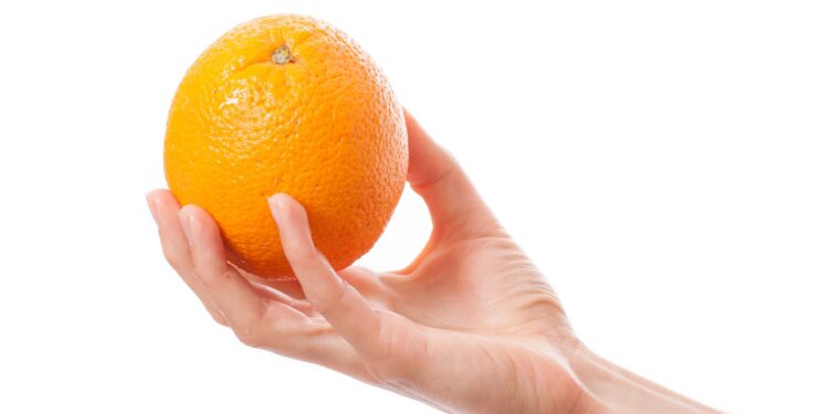 Photo credits: Vasily Merkushev