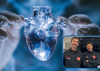 Photo credits: @Julia - Adobe creator.
Da sinistra: Gabriele Pesarini (Pa), Flavio Ribichini (Po) e Roberto Scarsini (Rtdb) della sezione di Cardiologia del dipartimento di Medicina di UniVr