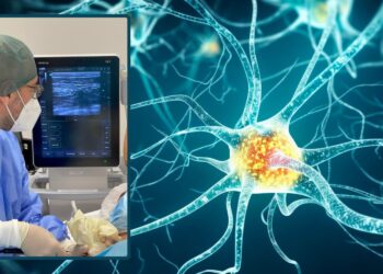 Photo credits: @Marcus Jacobi - Adobestock e Aoui