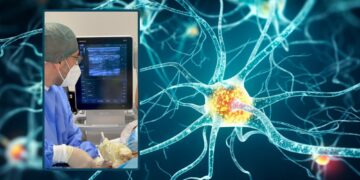 Photo credits: @Marcus Jacobi - Adobestock e Aoui